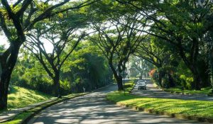 asri-dan-xanh-sm-bersinergi-untuk-mewujudkan-mobilitas-hijau-di-indonesia